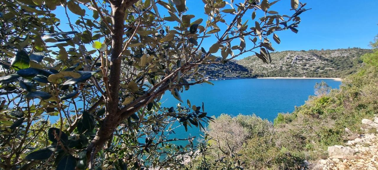 Holiday home Kuca Za Odmor Dean Pavicini